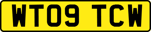 WT09TCW