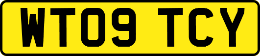 WT09TCY