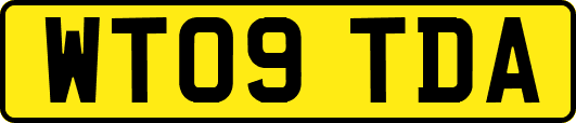 WT09TDA