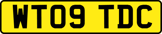 WT09TDC
