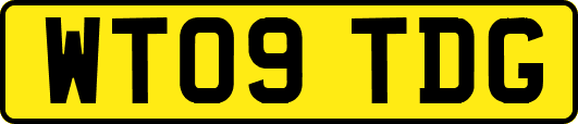 WT09TDG