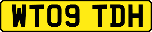 WT09TDH