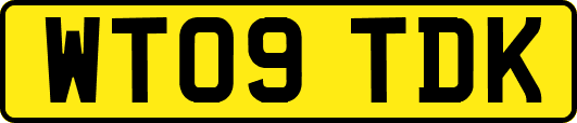 WT09TDK