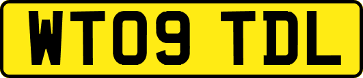 WT09TDL