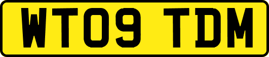 WT09TDM