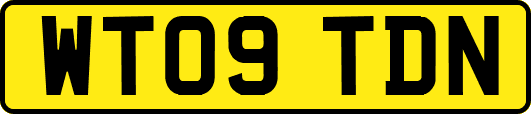 WT09TDN