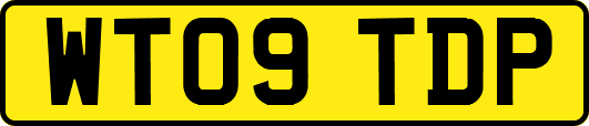 WT09TDP