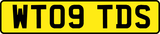 WT09TDS
