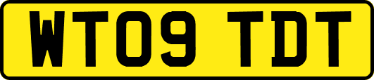 WT09TDT