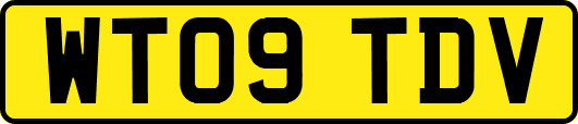 WT09TDV