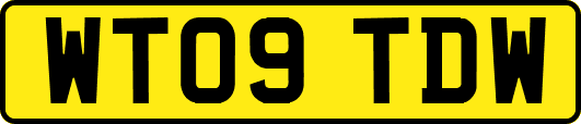 WT09TDW