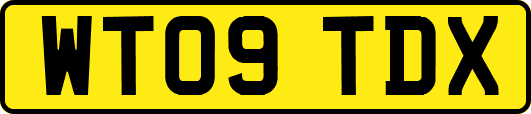 WT09TDX