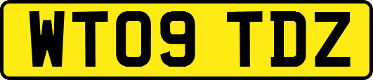 WT09TDZ