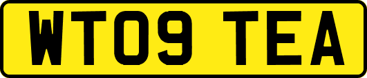 WT09TEA