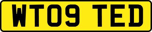 WT09TED