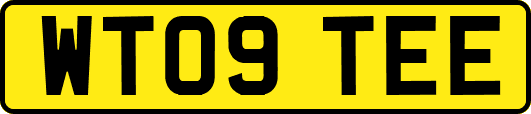 WT09TEE