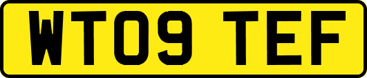 WT09TEF