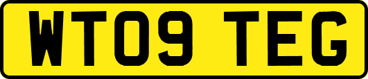 WT09TEG