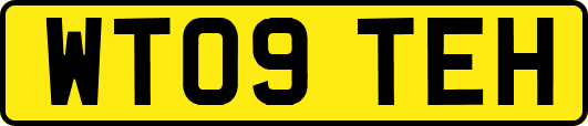 WT09TEH