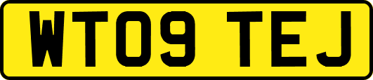 WT09TEJ