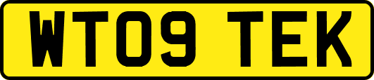 WT09TEK