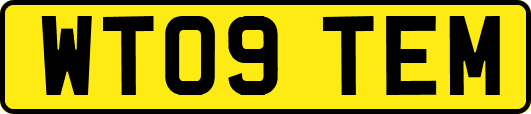 WT09TEM