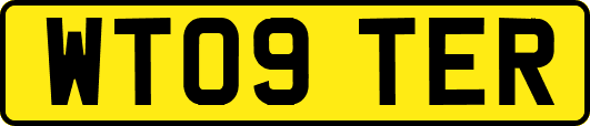 WT09TER