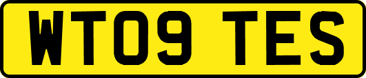 WT09TES