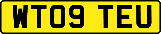 WT09TEU