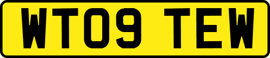 WT09TEW