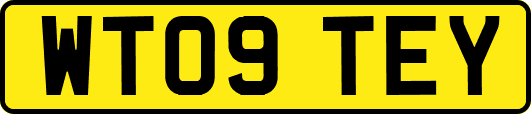 WT09TEY