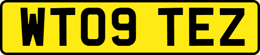 WT09TEZ