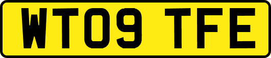 WT09TFE