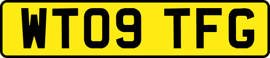 WT09TFG