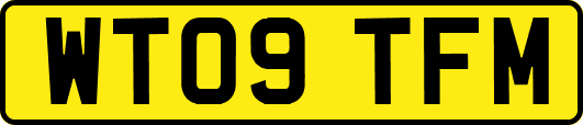 WT09TFM