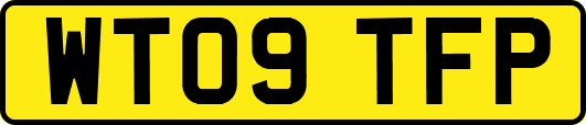 WT09TFP