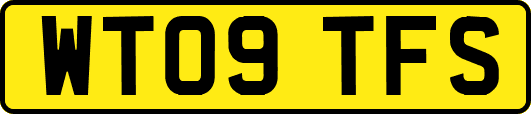 WT09TFS