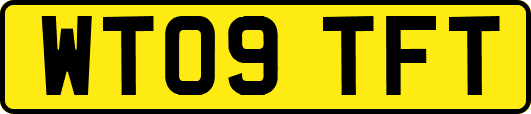WT09TFT