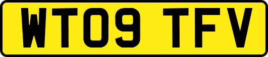 WT09TFV
