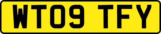 WT09TFY