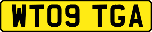 WT09TGA