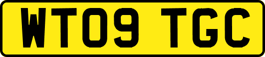 WT09TGC
