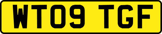 WT09TGF