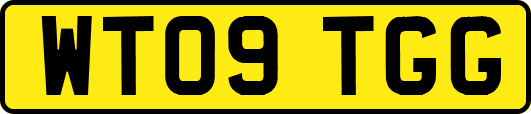 WT09TGG