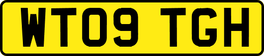 WT09TGH