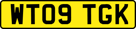 WT09TGK