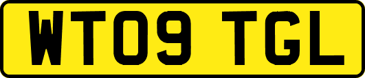 WT09TGL
