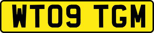 WT09TGM