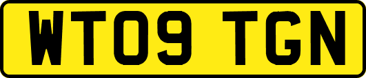 WT09TGN