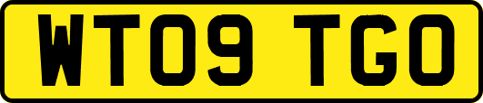 WT09TGO